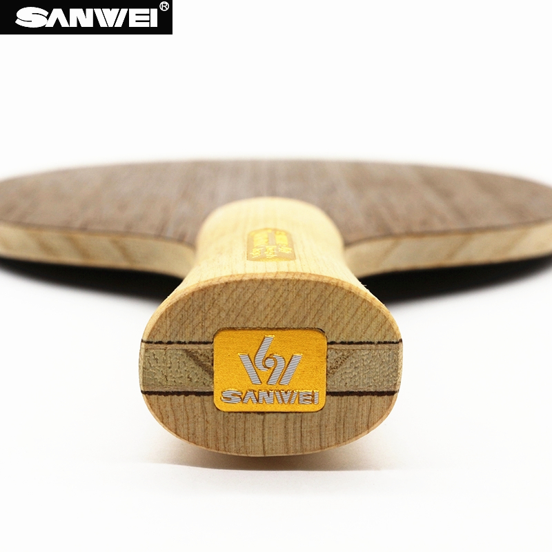 SANWEI DINAMO Tennis Da Tavolo - Table Tennis Japan recensione e prezzo