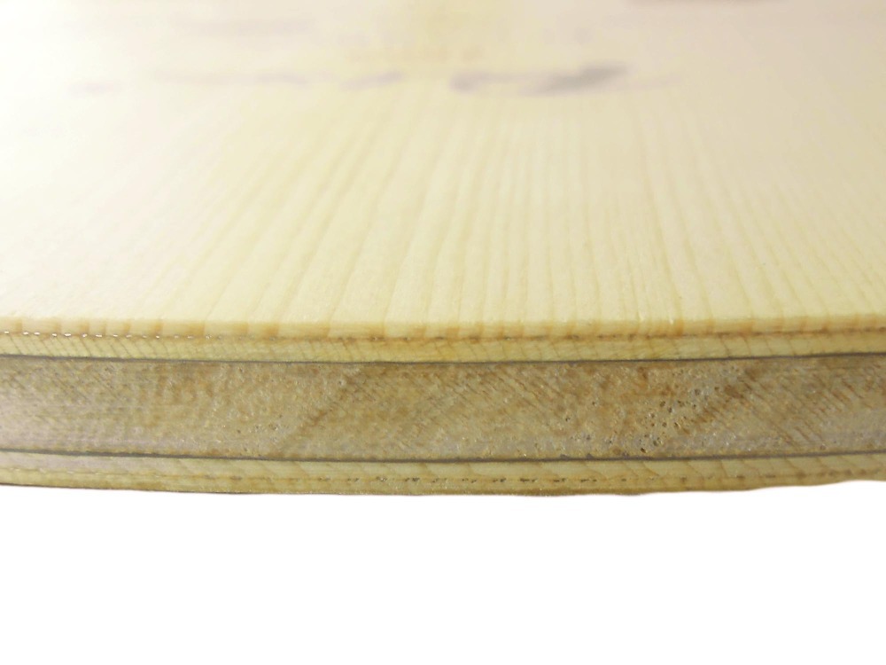 PALIO 8603 Carbonio Titanio Pi - Table Tennis Japan recensione e prezzo